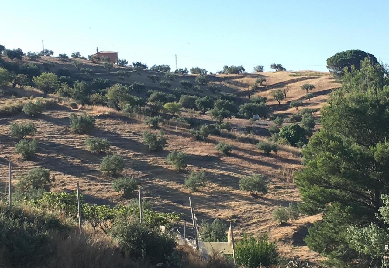 Algarrobo Azul Βίλα Almuñécar Εξωτερικό φωτογραφία