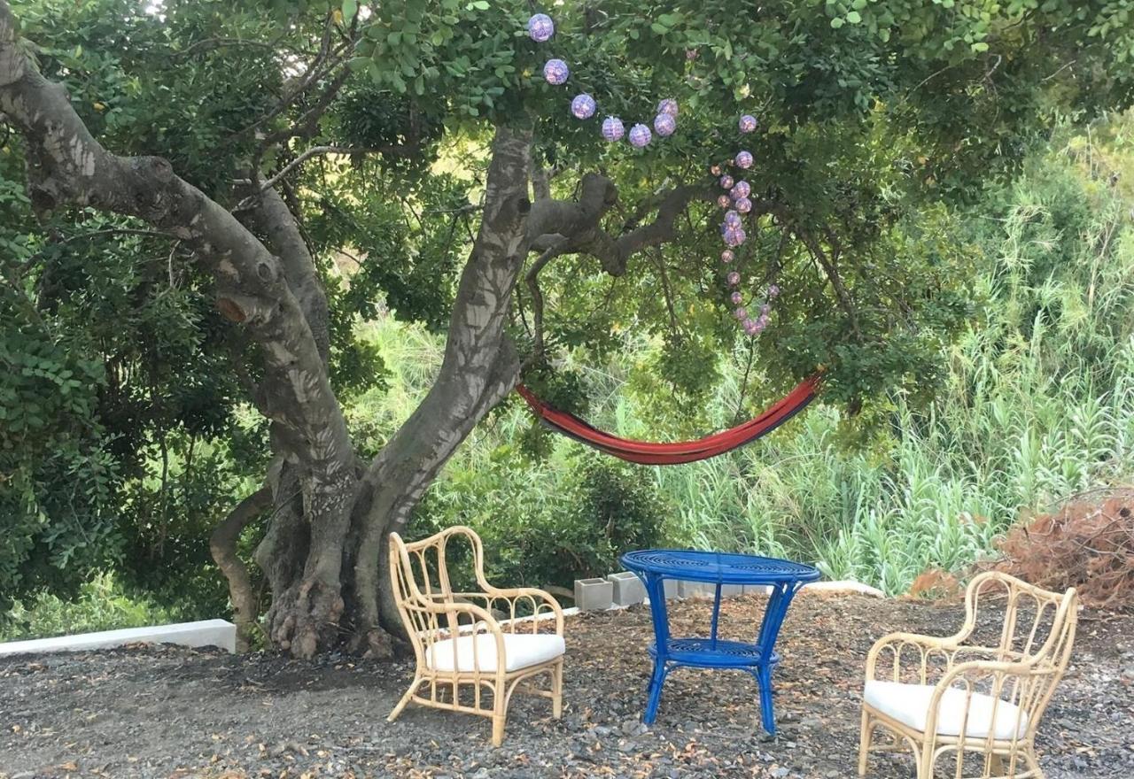 Algarrobo Azul Βίλα Almuñécar Εξωτερικό φωτογραφία