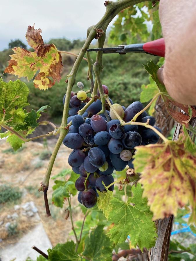 Algarrobo Azul Βίλα Almuñécar Εξωτερικό φωτογραφία